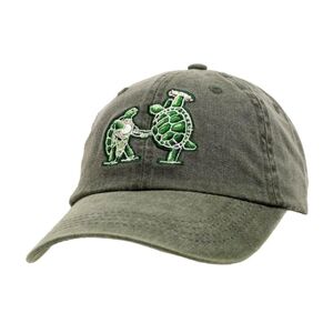 Grateful Dead Dancing Terrapins Green Embroidered Cap